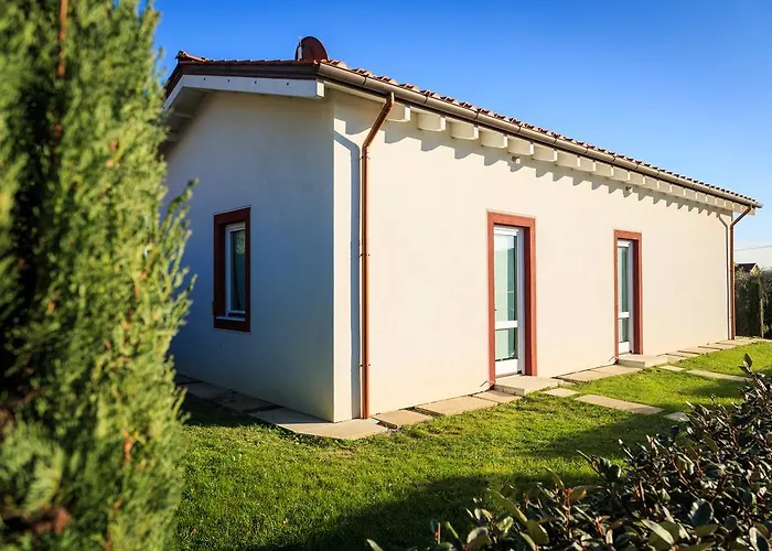 Podere Olmo